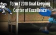 2018 Term 1 Center of Excellence